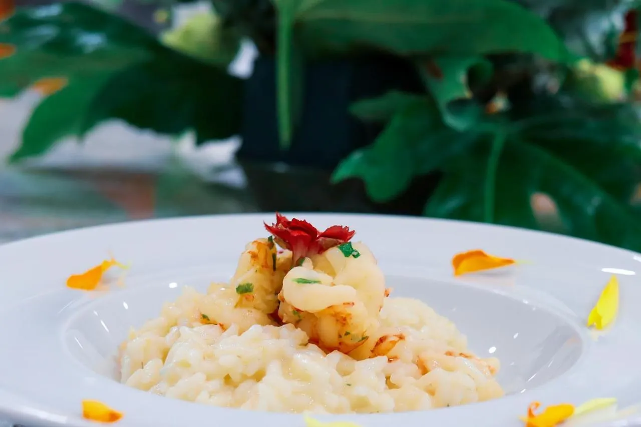 Hotel Alfonsina Riccione